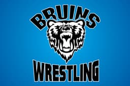 Pleasant Valley logo