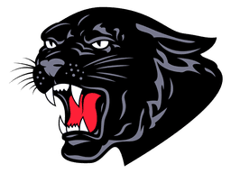 Saucon Valley logo