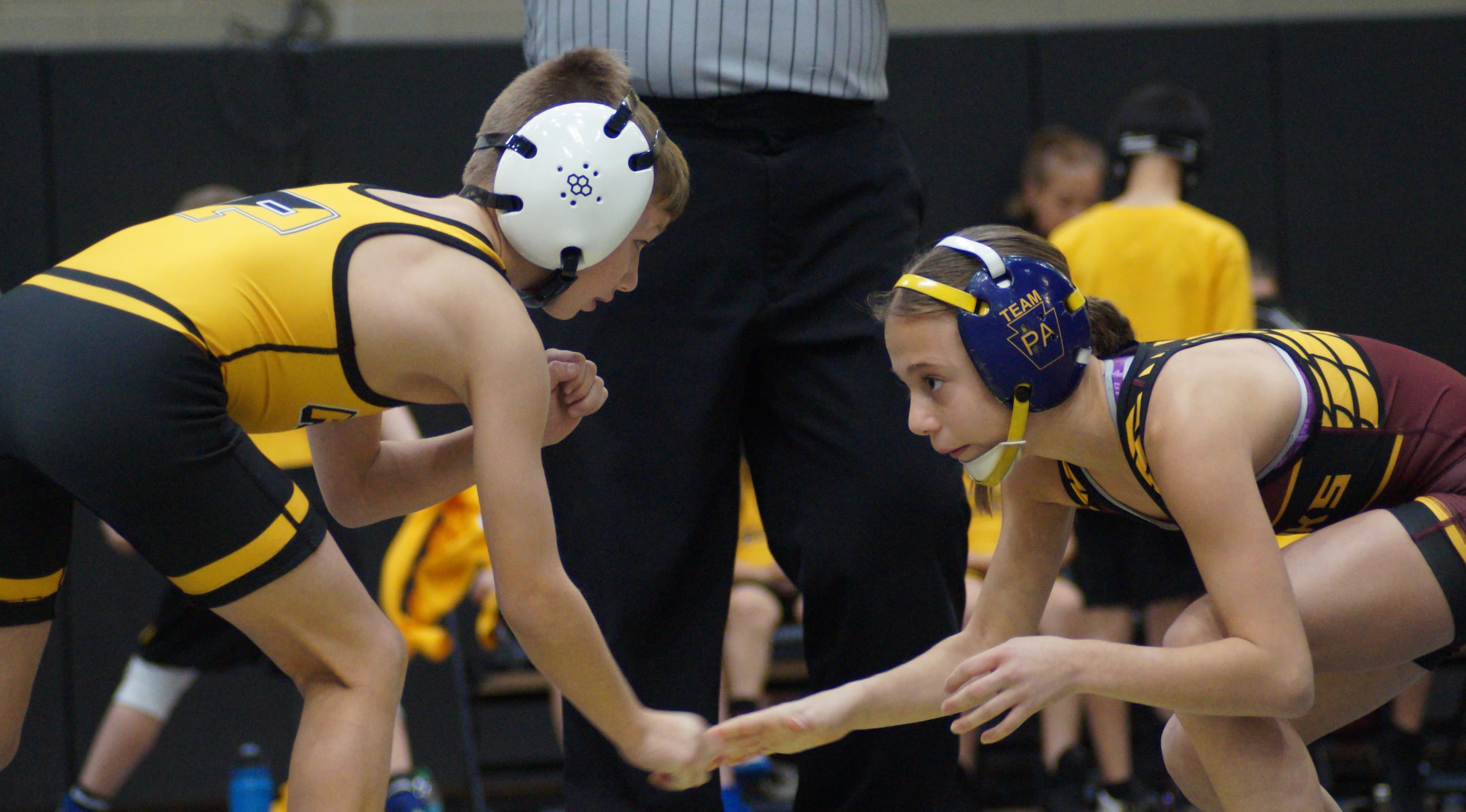 Divisions banner photo